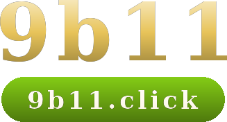 9b11 logo